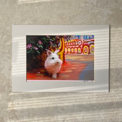 攝影藝術微噴原作 - 《魔幻之旅》1/501