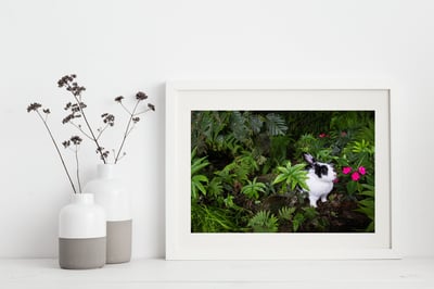 攝影藝術微噴原作 - 《絕美叢林》3