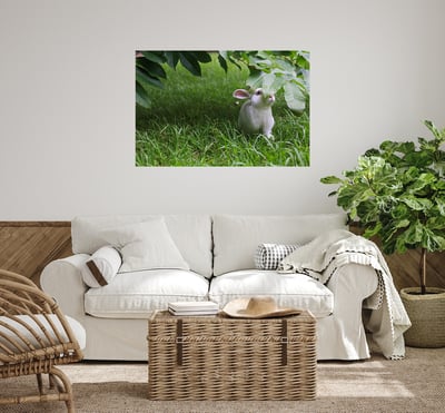 攝影藝術微噴原作 - 《夏日秘藏紅寶石》4