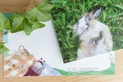 兔子攝影插畫明信片 - 《好舒服的午後》4