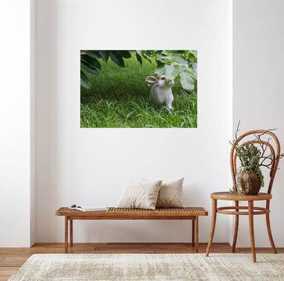 攝影藝術微噴原作 - 《夏日秘藏紅寶石》5