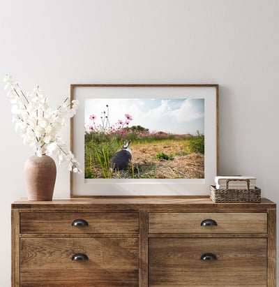 攝影藝術微噴原作 - 《雙蝶私語》2