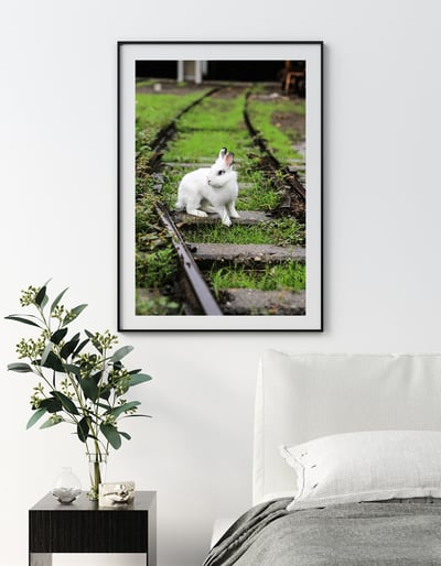 攝影藝術微噴原作 - 《決定》5