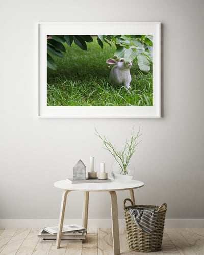 攝影藝術微噴原作 - 《夏日秘藏紅寶石》2