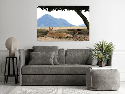 攝影藝術微噴原作 - 《悠然見南山》8