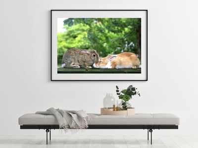 攝影藝術微噴原作 - 《親親》6