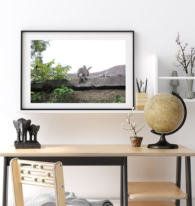 攝影藝術微噴原作 - 《越過疆界》2