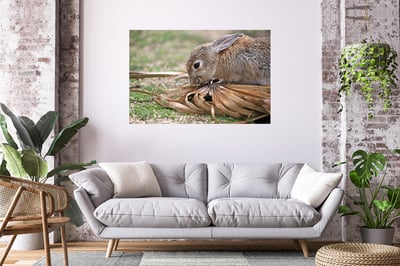 攝影藝術微噴原作 - 《得來不易的滋味》8