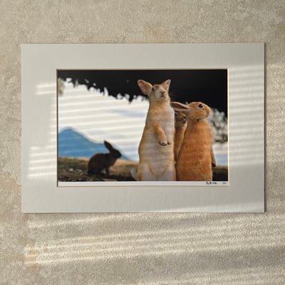 攝影藝術微噴原作 - 《眾生》2/501