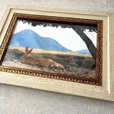 攝影藝術微噴原作 - 《悠然見南山》｜內鑲古銅雕紋框2