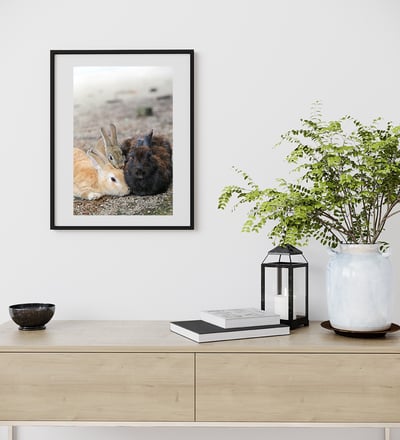 攝影藝術微噴原作 - 《全家福》5