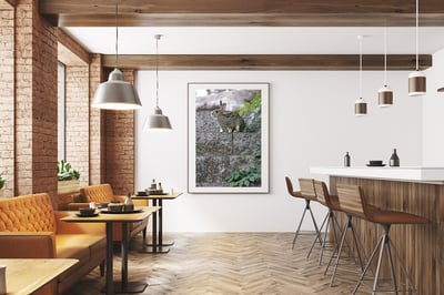 攝影藝術微噴原作 - 《樹梢的溫柔》4