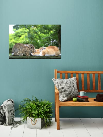 攝影藝術微噴原作 - 《親親》5