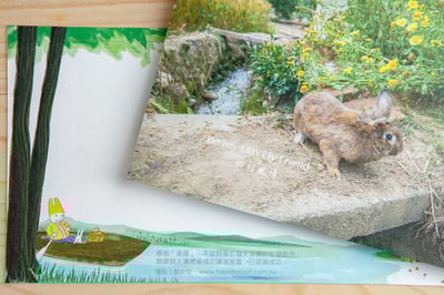 兔子攝影插畫明信片 - 《鄉村風情》4