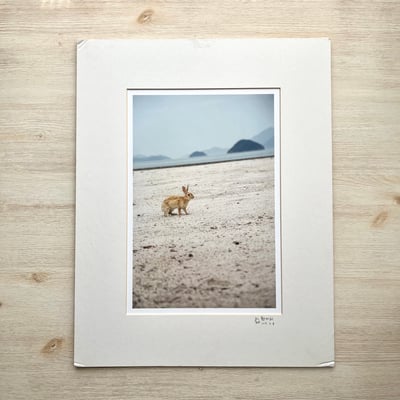 攝影藝術微噴福利品 - 151