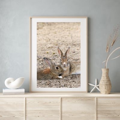 攝影藝術微噴原作 - 《守護》9