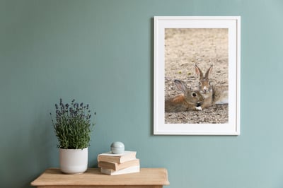 攝影藝術微噴原作 - 《守護》6