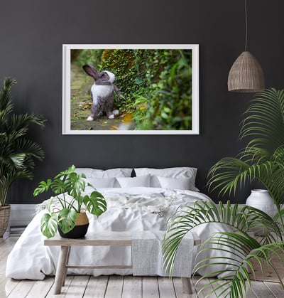 攝影藝術微噴原作 - 《藍色眼眸》6