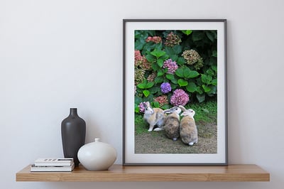 攝影藝術微噴原作 - 《觀望》2