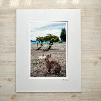 攝影藝術微噴福利品 - 101