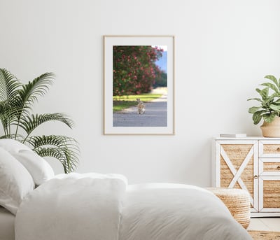 攝影藝術微噴原作 - 《目光之處》3