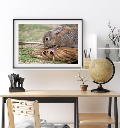 攝影藝術微噴原作 - 《得來不易的滋味》4