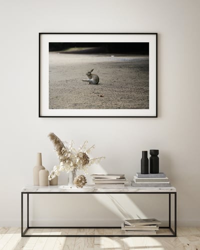 攝影藝術微噴原作 - 《獨舞》5