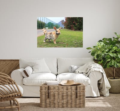 攝影藝術微噴原作 - 《天光》7