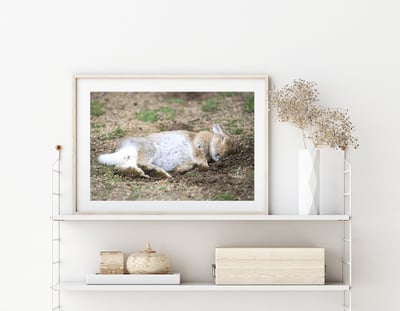 攝影藝術微噴原作 - 《甜夢》3