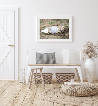 攝影藝術微噴原作 - 《甜夢》8