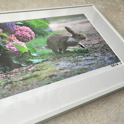 攝影藝術微噴原作 - 《起步》 1/50｜白色鋁框4