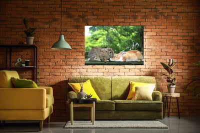 攝影藝術微噴原作 - 《親親》7