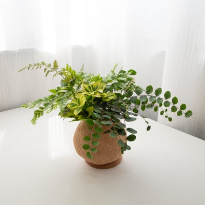 鈕扣蕨 手作組合植栽苔球4