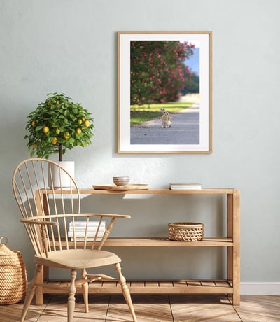 攝影藝術微噴原作 - 《目光之處》4