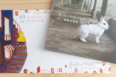 兔子攝影插畫明信片 - 《永恆的凝望》4