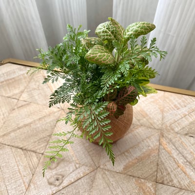 兔腳蕨 手作組合植栽苔球4