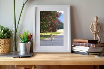 攝影藝術微噴原作 - 《目光之處》2