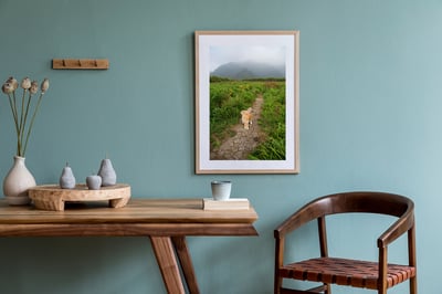 攝影藝術微噴原作 - 《未知局面》5