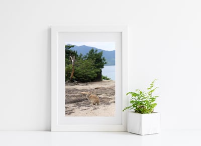 攝影藝術微噴原作 - 《隱身》1