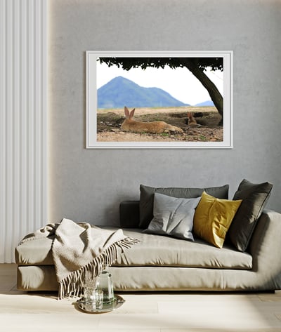 攝影藝術微噴原作 - 《悠然見南山》5