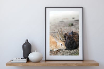 攝影藝術微噴原作 - 《全家福》2