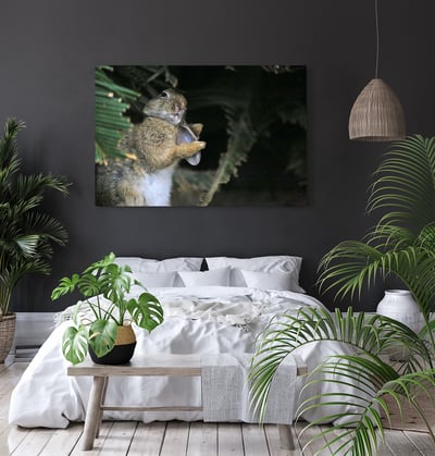 攝影藝術微噴原作 - 《嫵媚》8