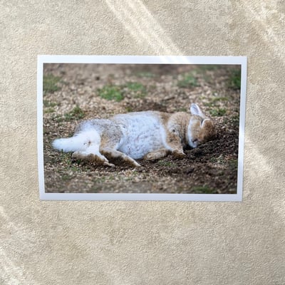 攝影藝術微噴原作 - 《甜夢》 3/501