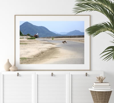 攝影藝術微噴原作 - 《奔向崇山》4