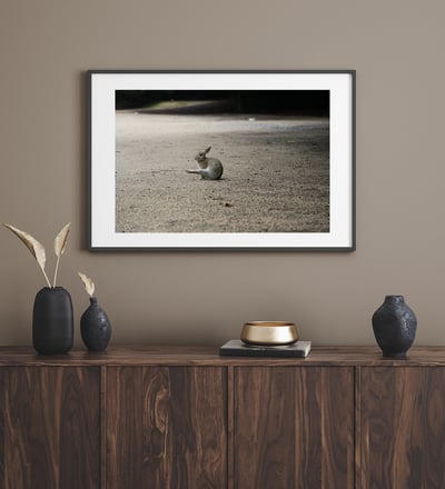 攝影藝術微噴原作 - 《獨舞》6