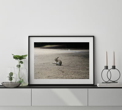 攝影藝術微噴原作 - 《獨舞》4