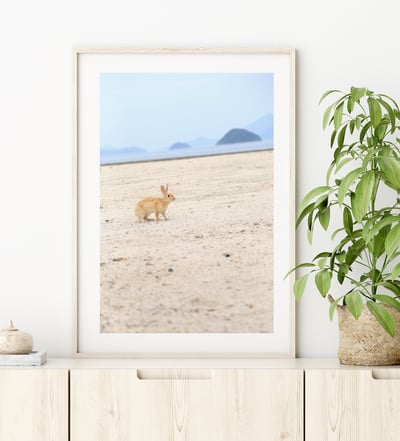 攝影藝術微噴原作 - 《沙灘上的兔子》7