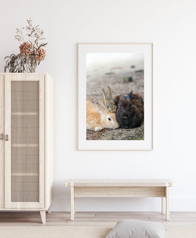 攝影藝術微噴原作 - 《全家福》6