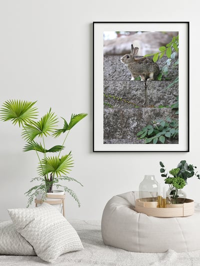 攝影藝術微噴原作 - 《樹梢的溫柔》6