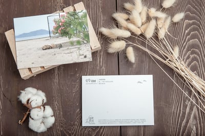 兔子攝影明信片- 《秘密聚會》1